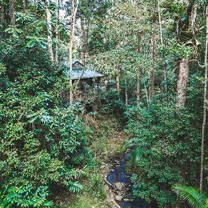 narrows-escape-rainforest-retreat.queenslandhotels.net/